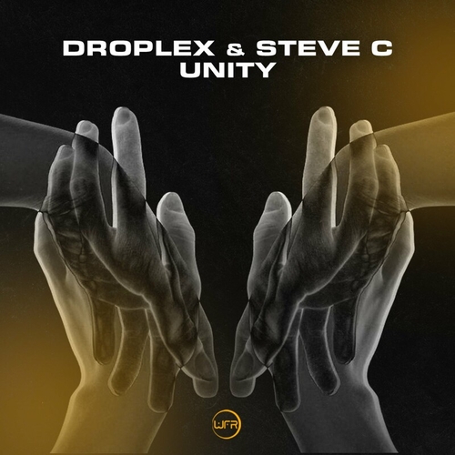 Droplex & Steve C - Unity [CAT765383]